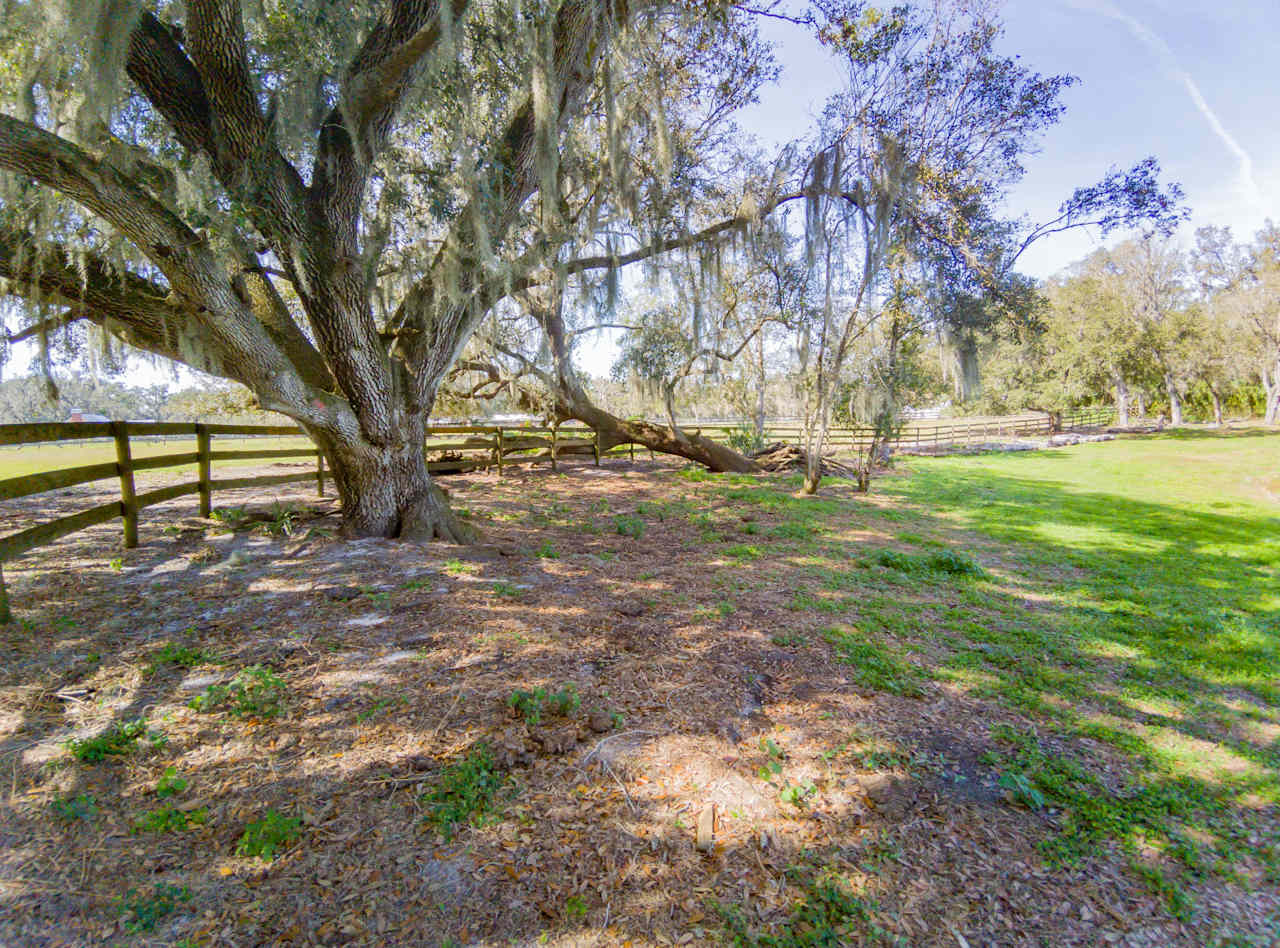 Owen's Family Farm