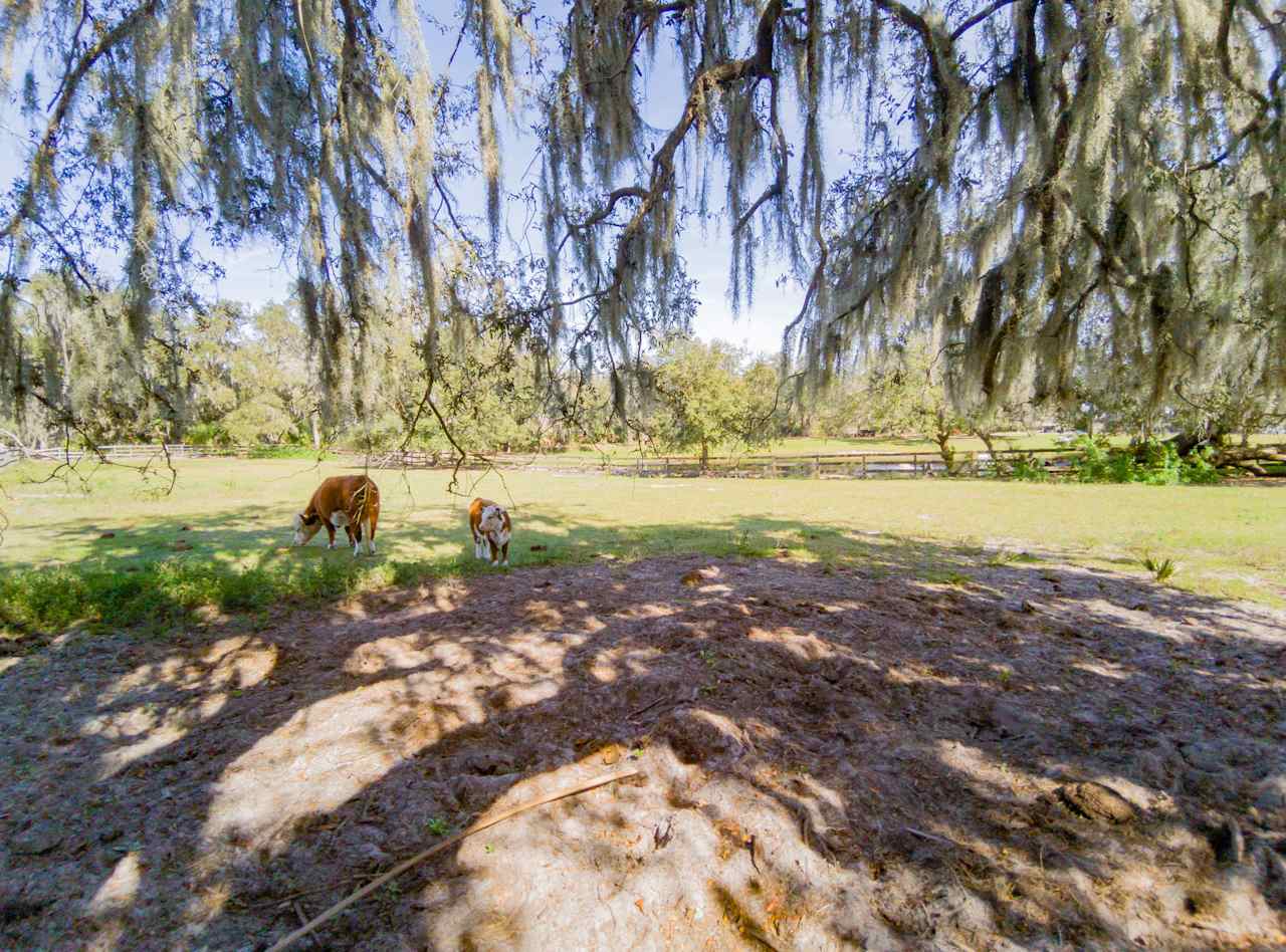 Owen's Family Farm