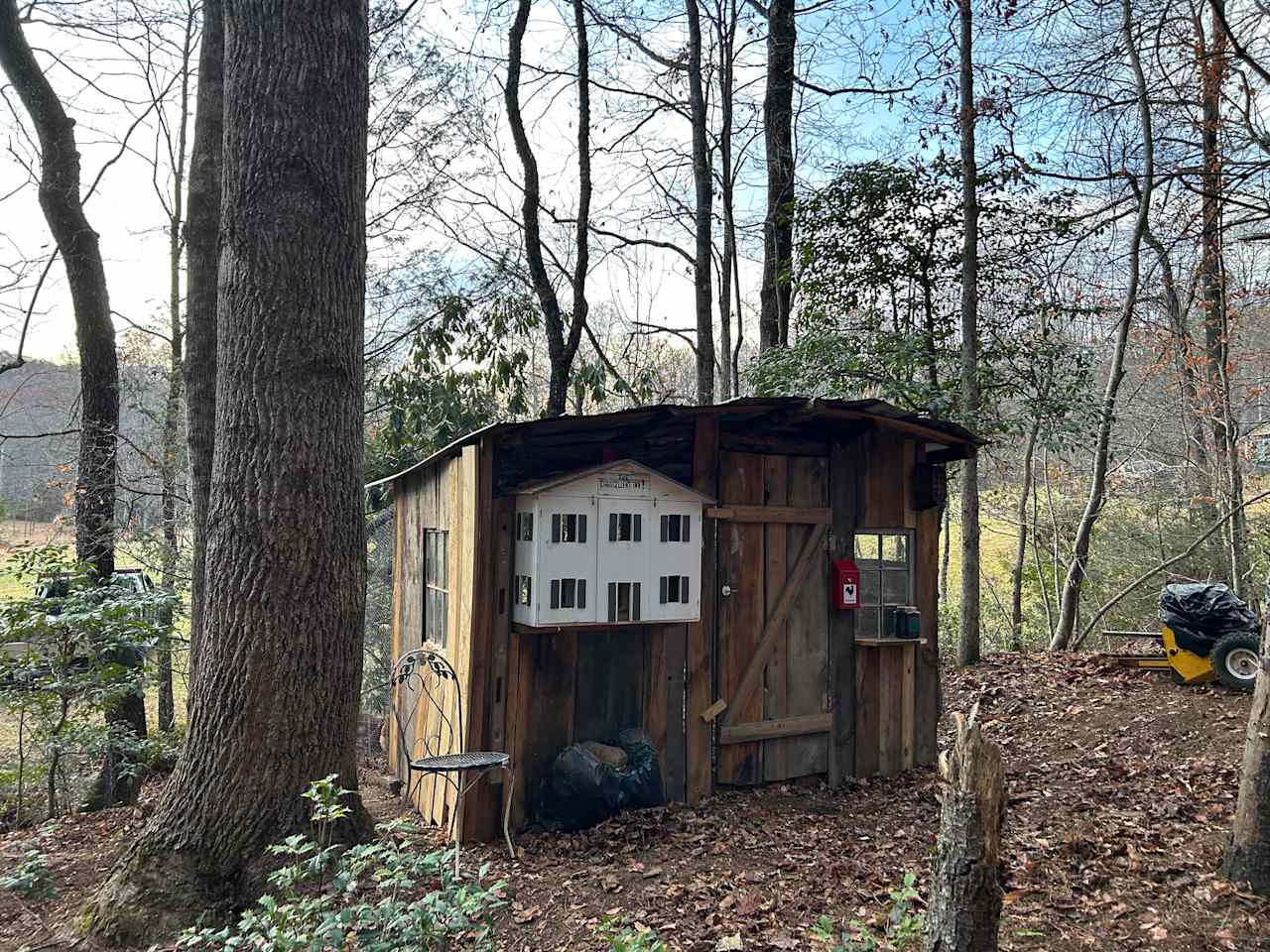 Nearby chicken house. Experience first hand is where your food comes from. Add on a dozen eggs at checkout.