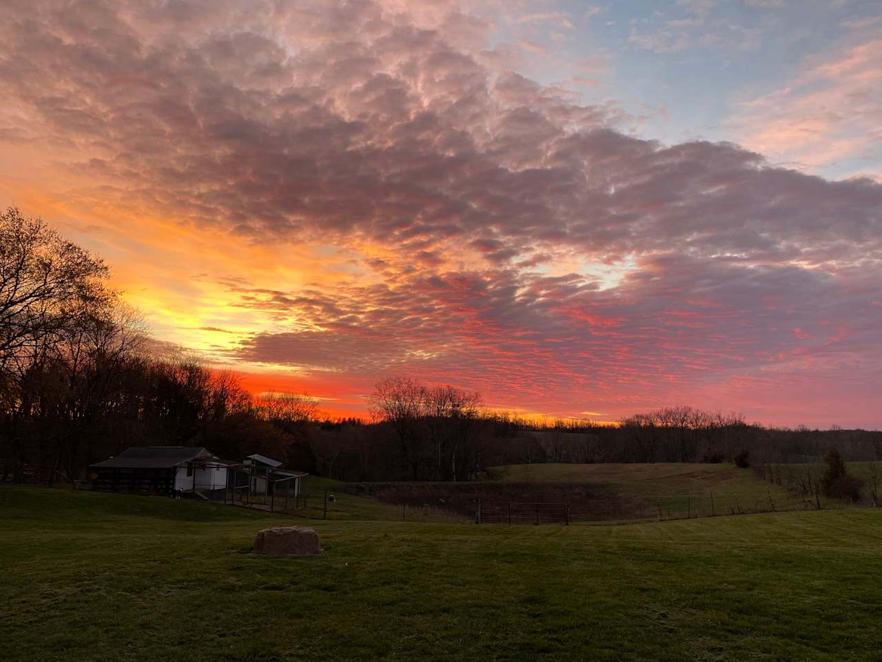 Meadow Creek Farm