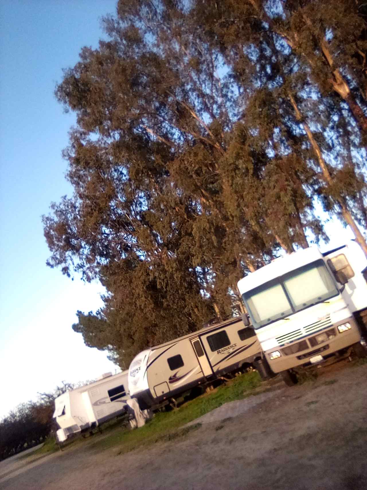 Dragonfly camp grounds