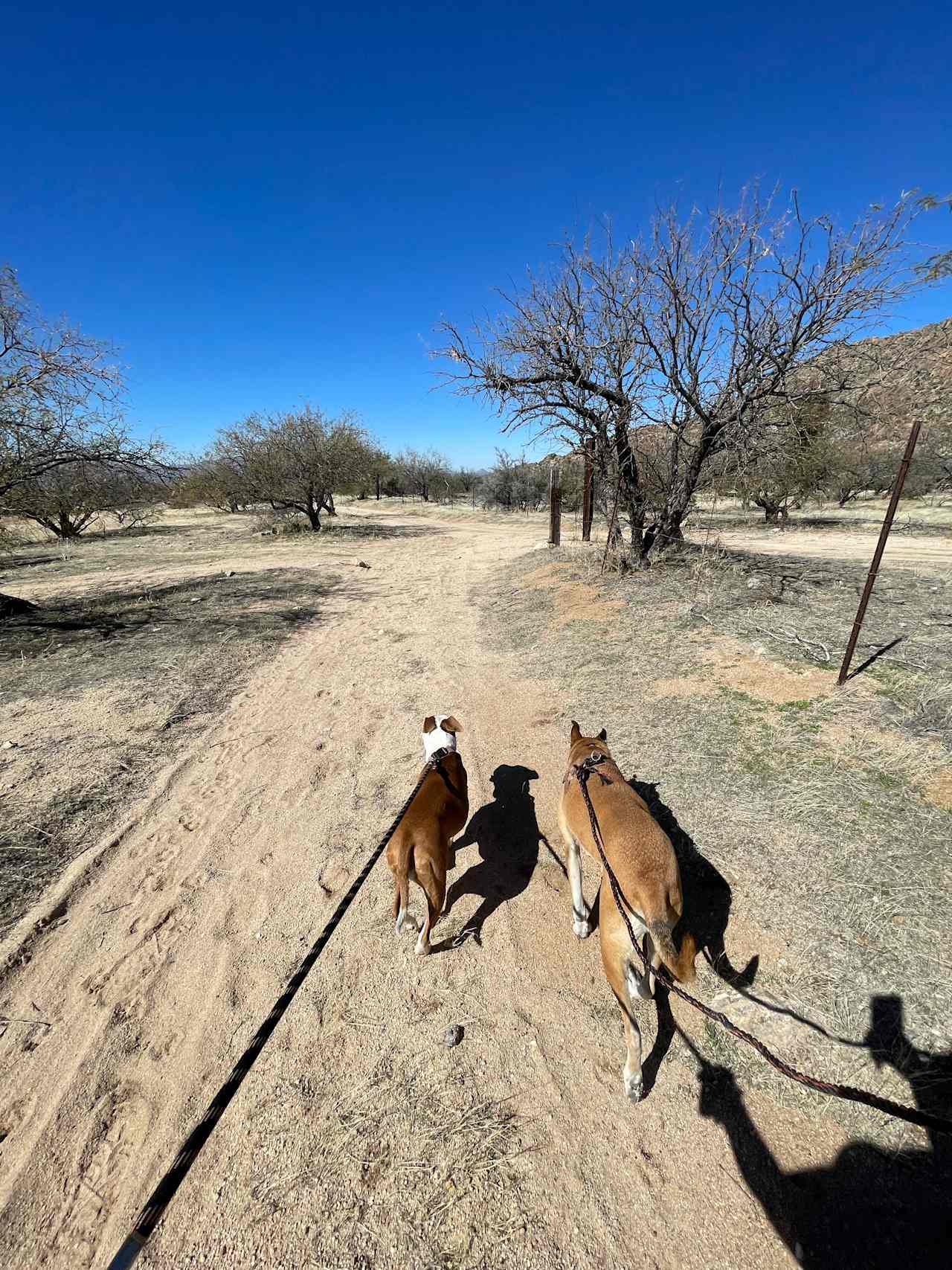 Epic Private 300 Acre Saguaro Park
