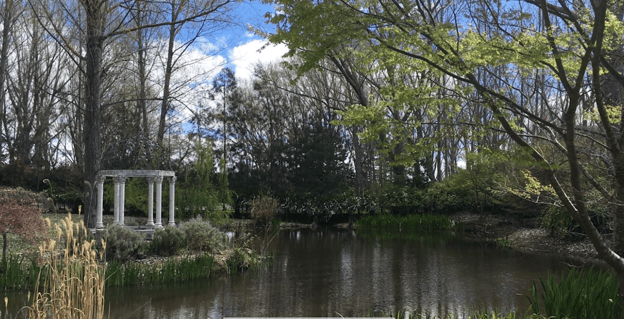 Wings of the Carribee