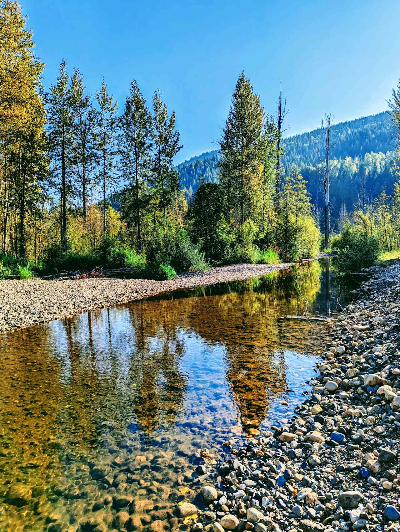 Wells Gray Golf & RV Resort