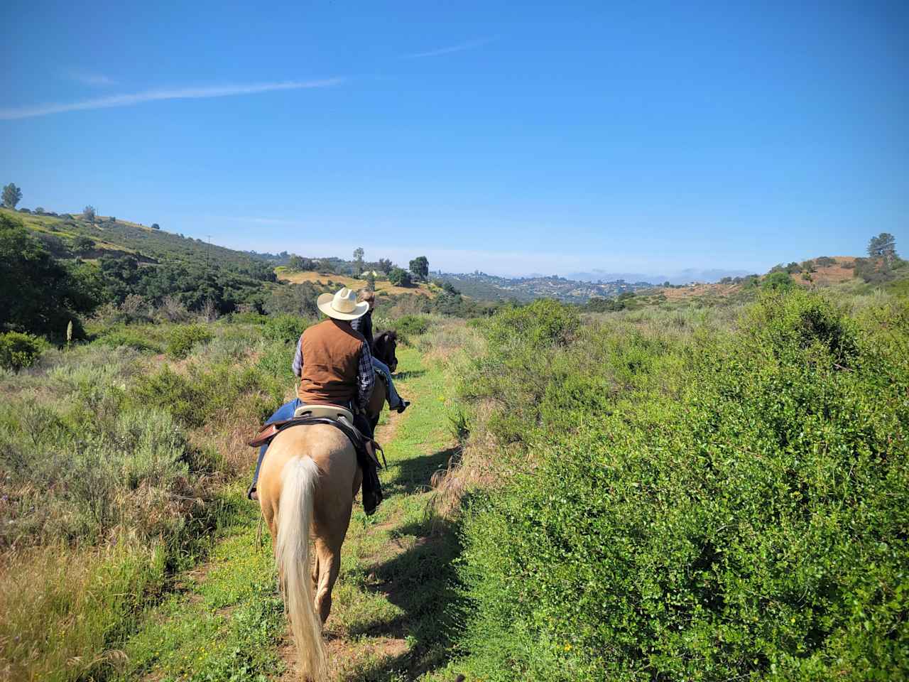 Horsetel River Retreat