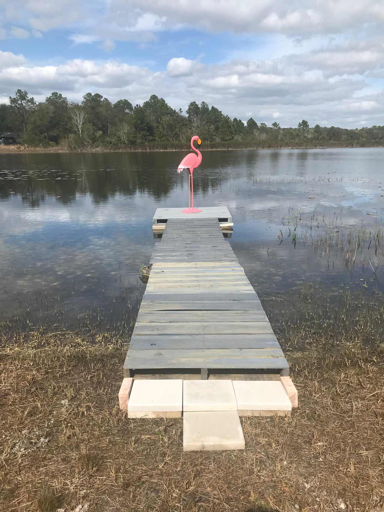 Lakefront Sweet Spot, N Central FL