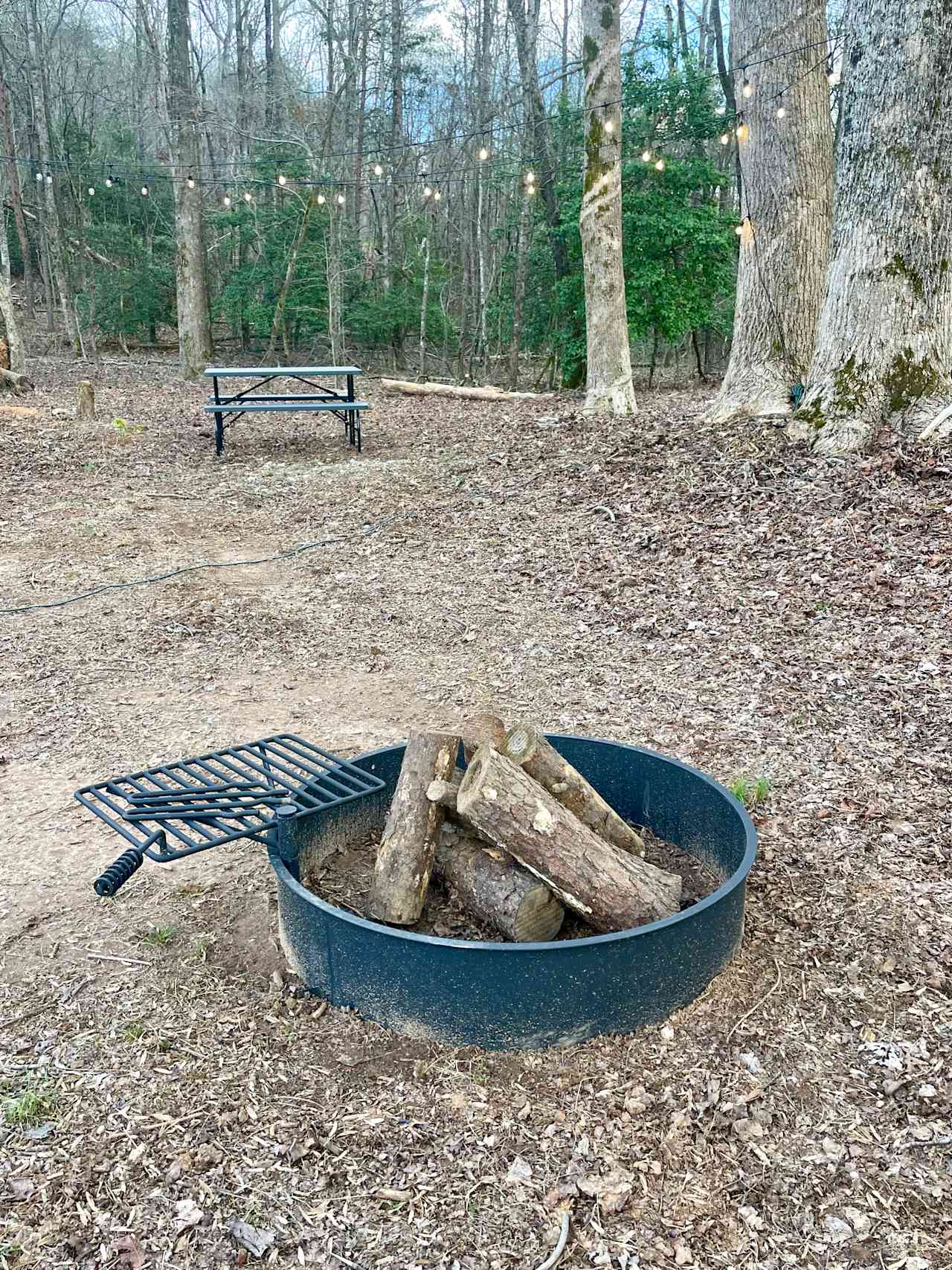 All the woods you need to gather firewood! 