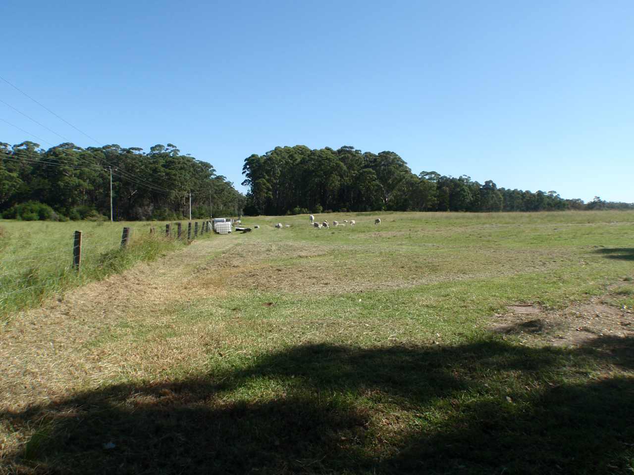 Fat Lamb Farm Camping