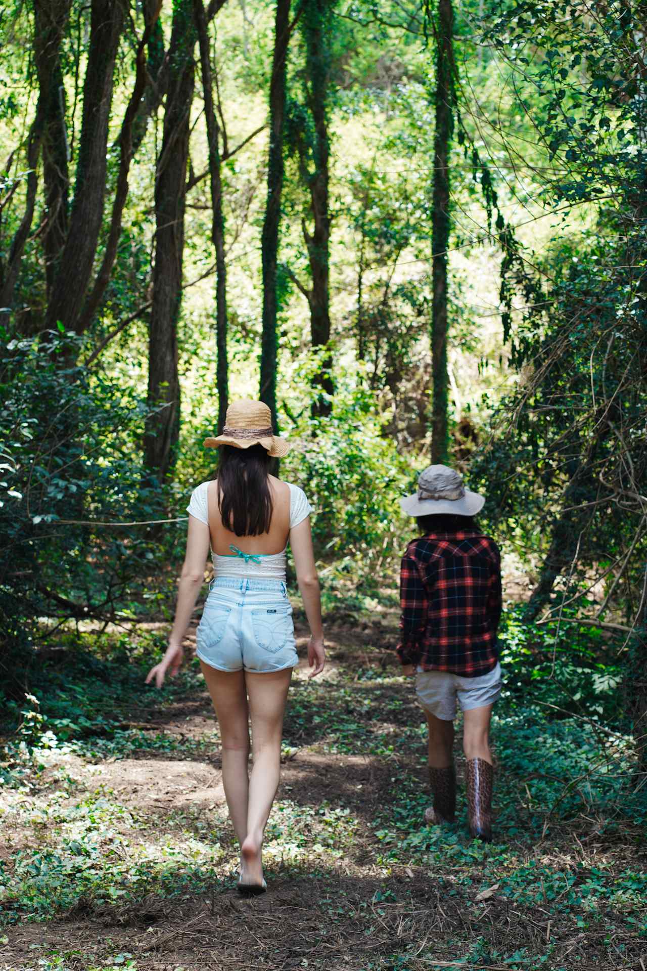 lovely walks through the property