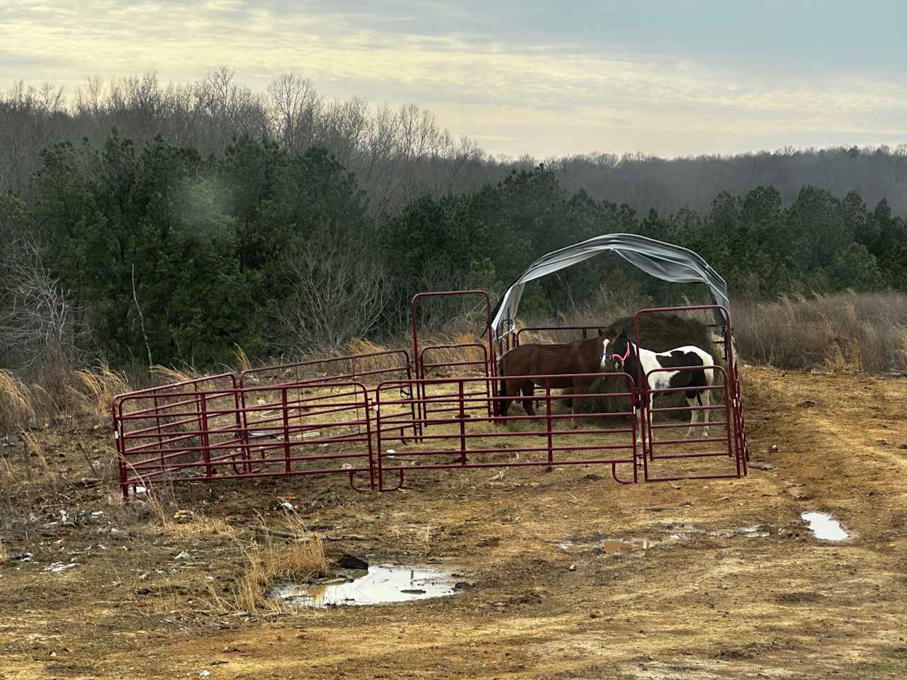 Lisenby’s Property