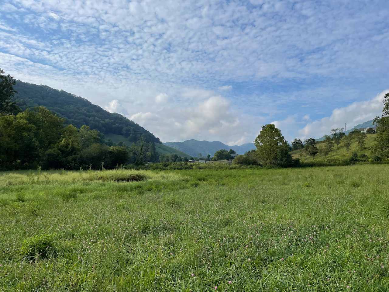 Turkey Creek Oasis~valley views