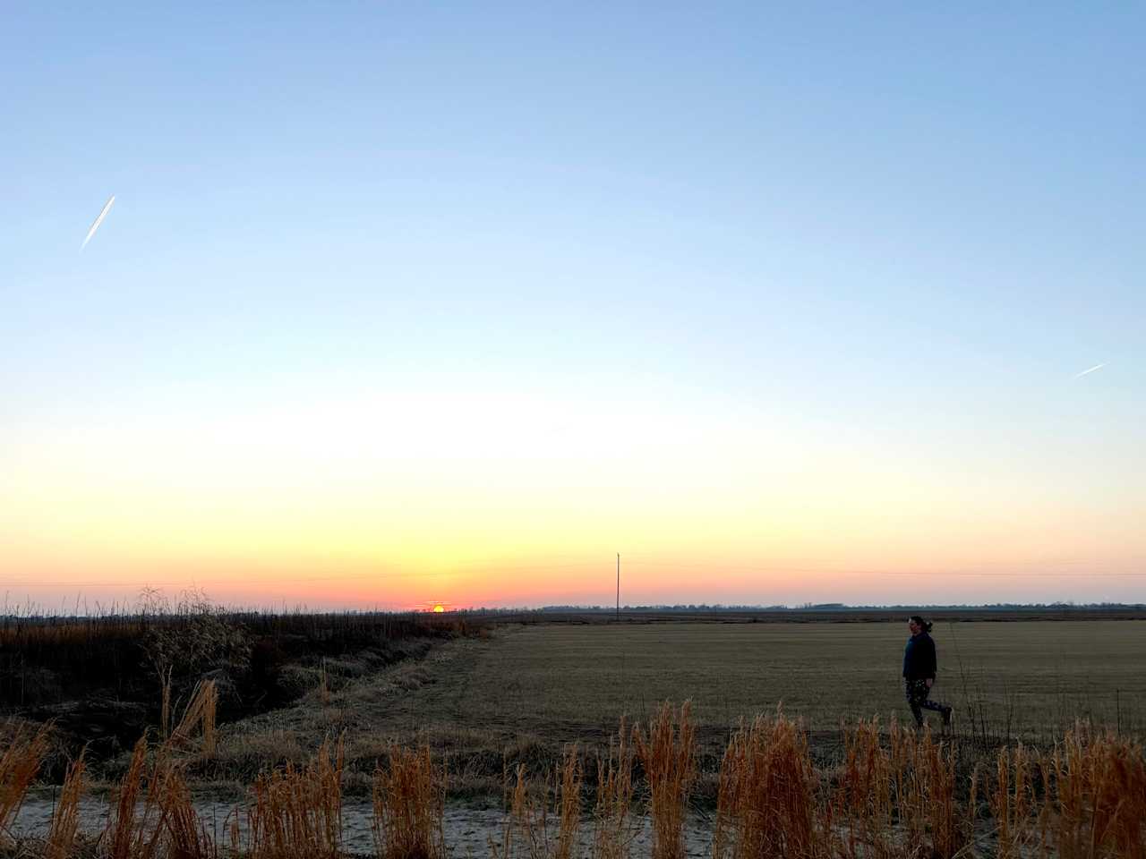 Sunny Flats Farm