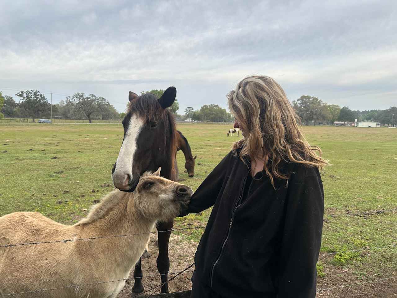 Florida Farm School & Animal Rescue