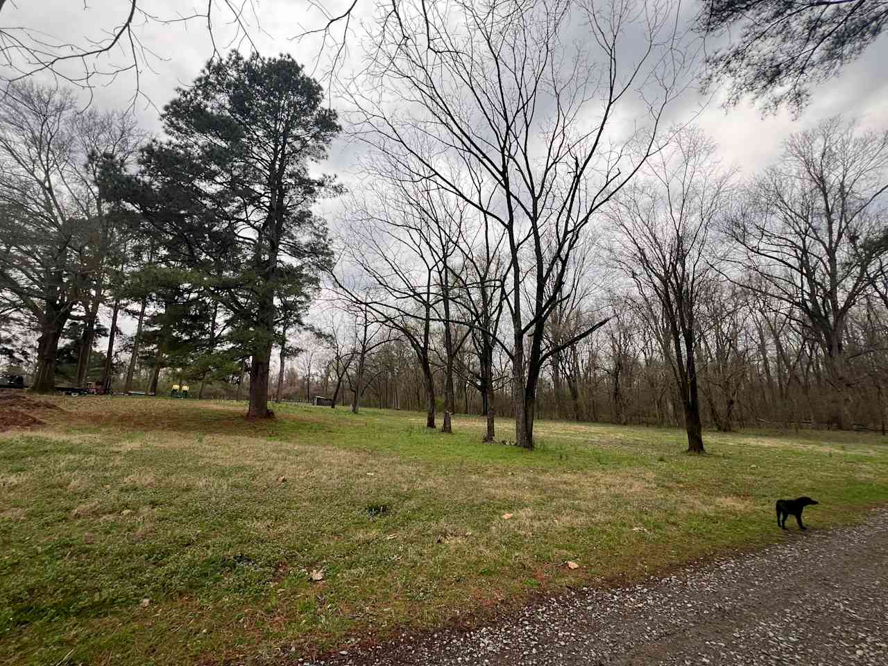 Back 5 Fields