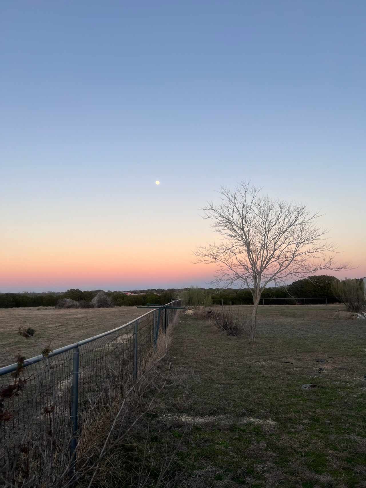 Rosebud Hill