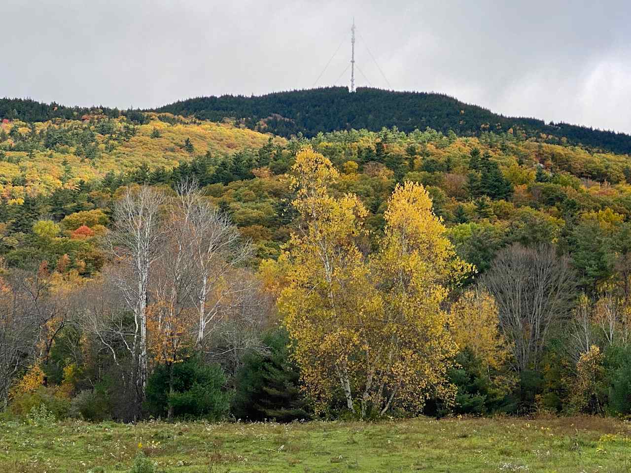 Ascutney Mtn Horse Farm