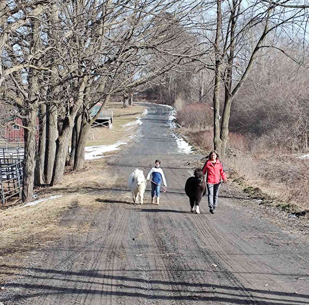 Mini Hiking Experience
*additional fees for horse-experience activities 