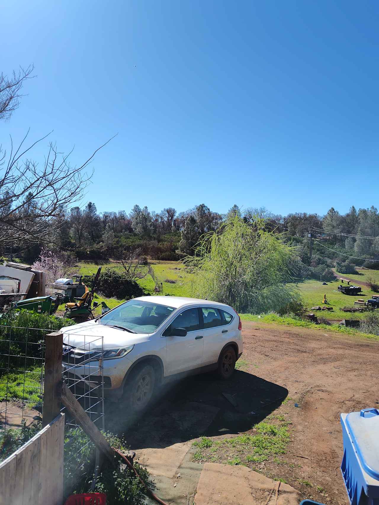 RAW Farm Orchards