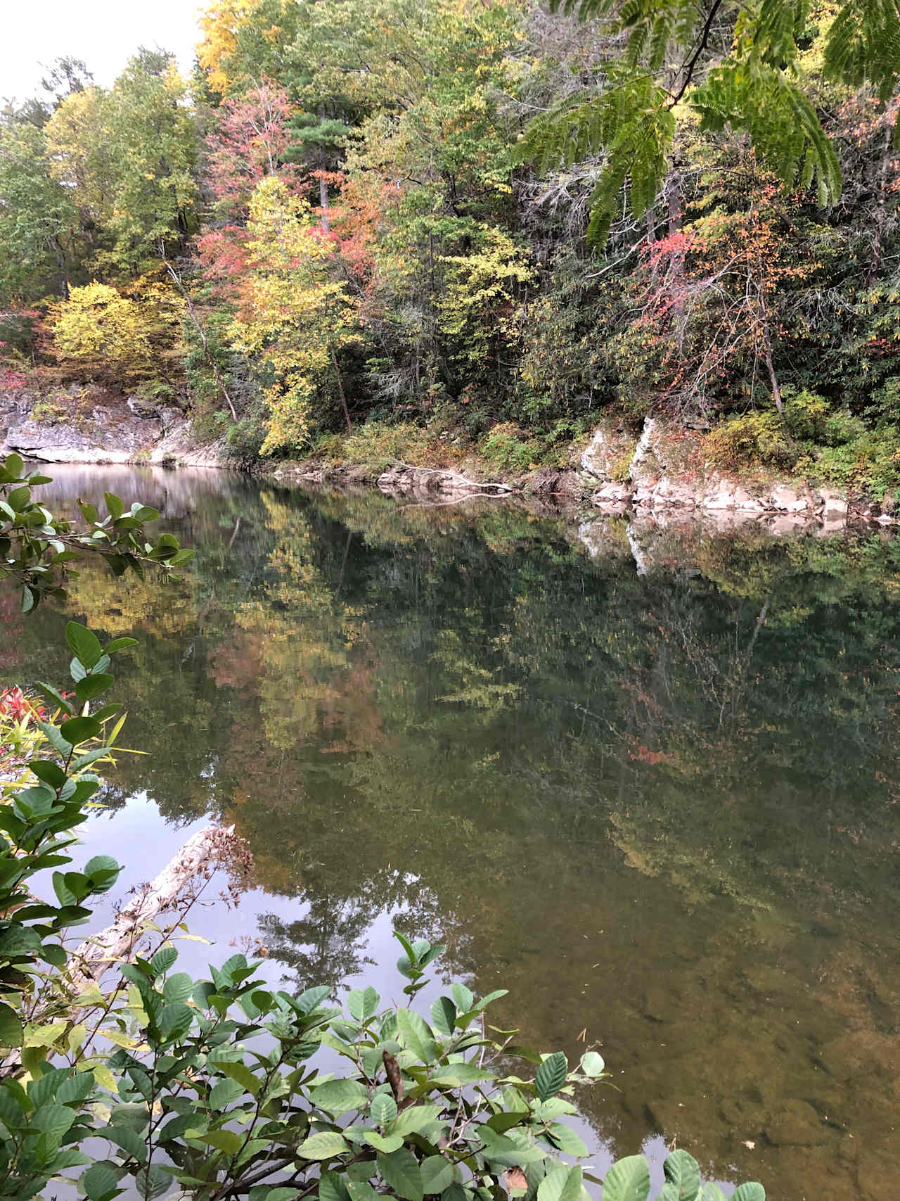 Creek in the Fall 