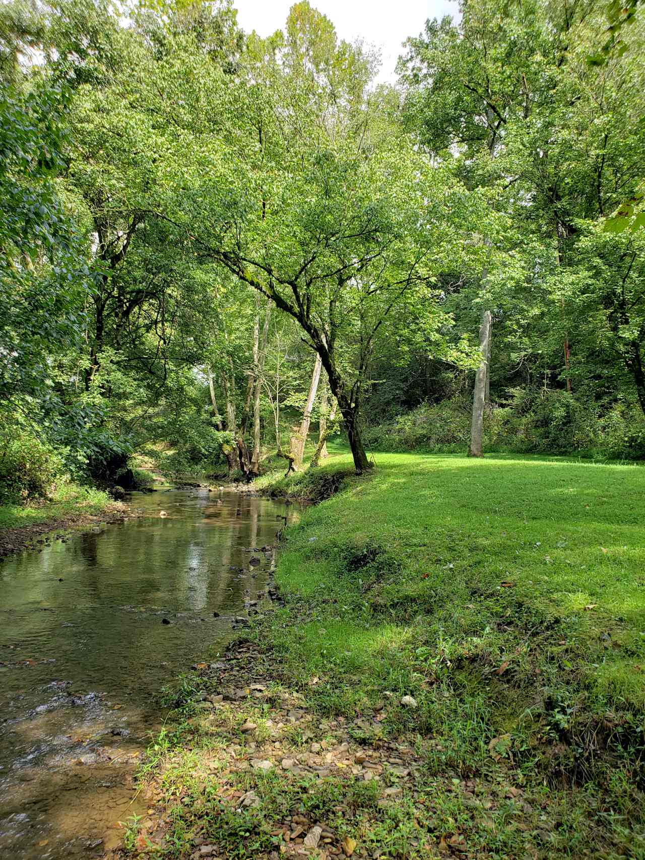 Out On The Creek Campground & RV