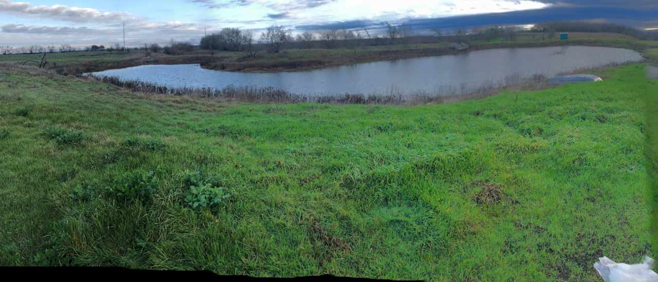 Campsites facing pond.
