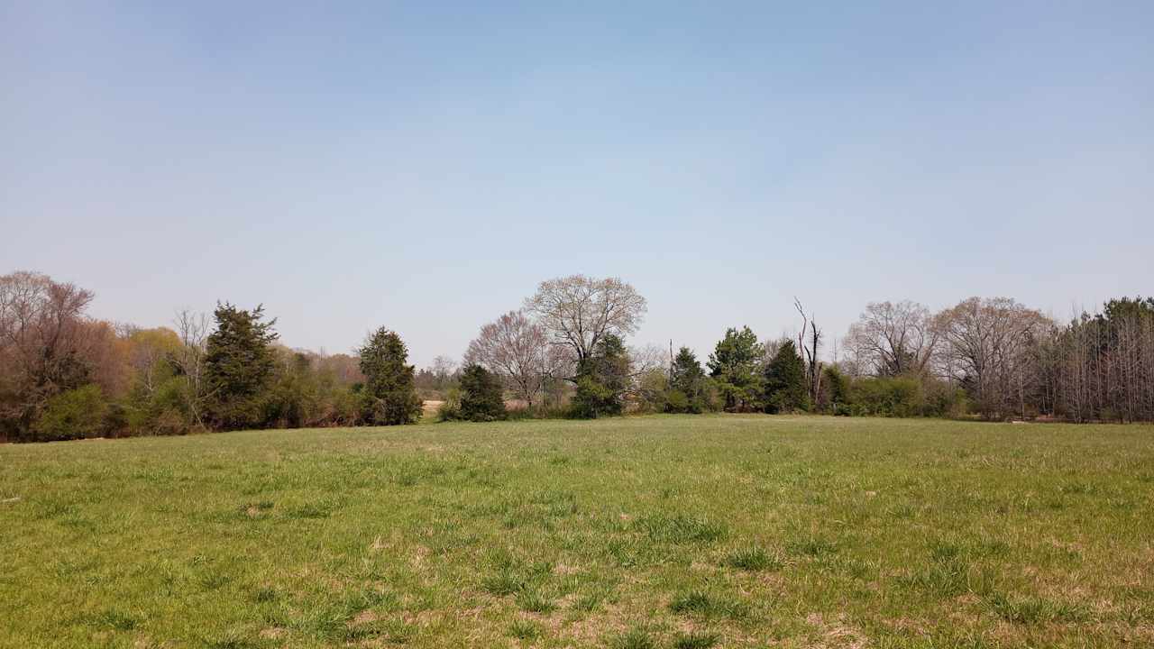 Wide open space for viewing the eclipse, possible overflow camping. Primary camping site is on the other side of the treeline.