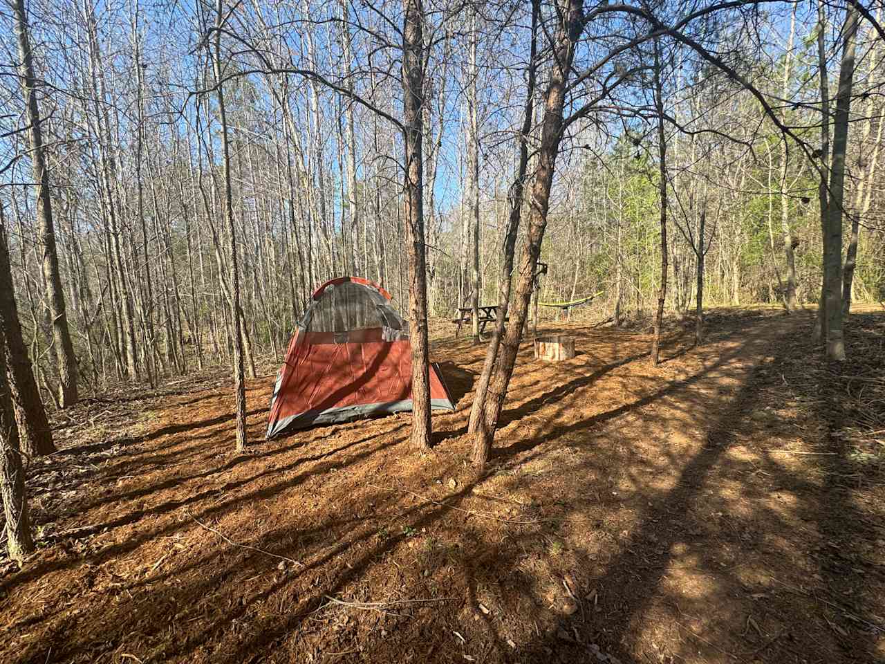 Living Woods on Ridgecreek