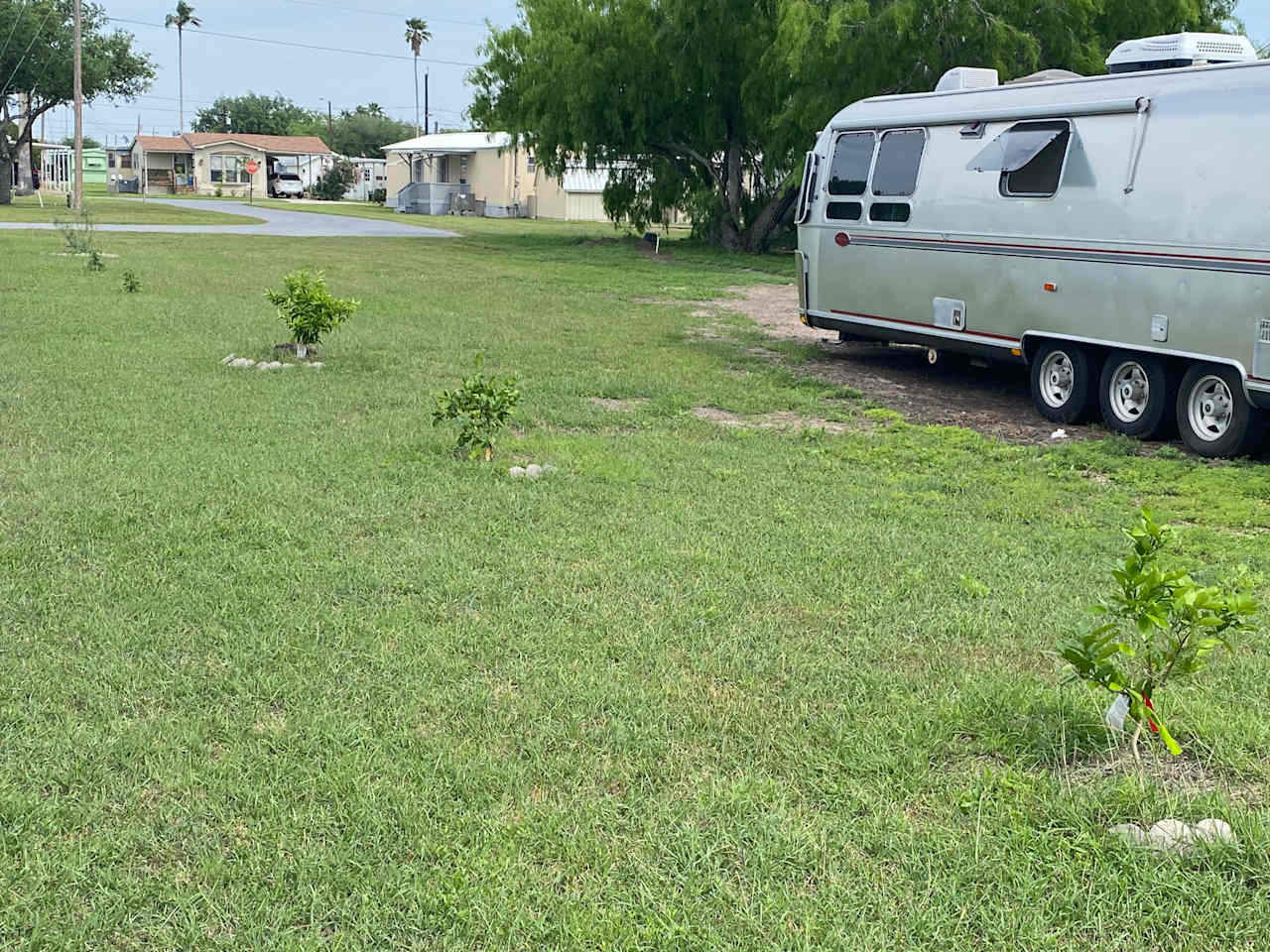 Cactus Lane