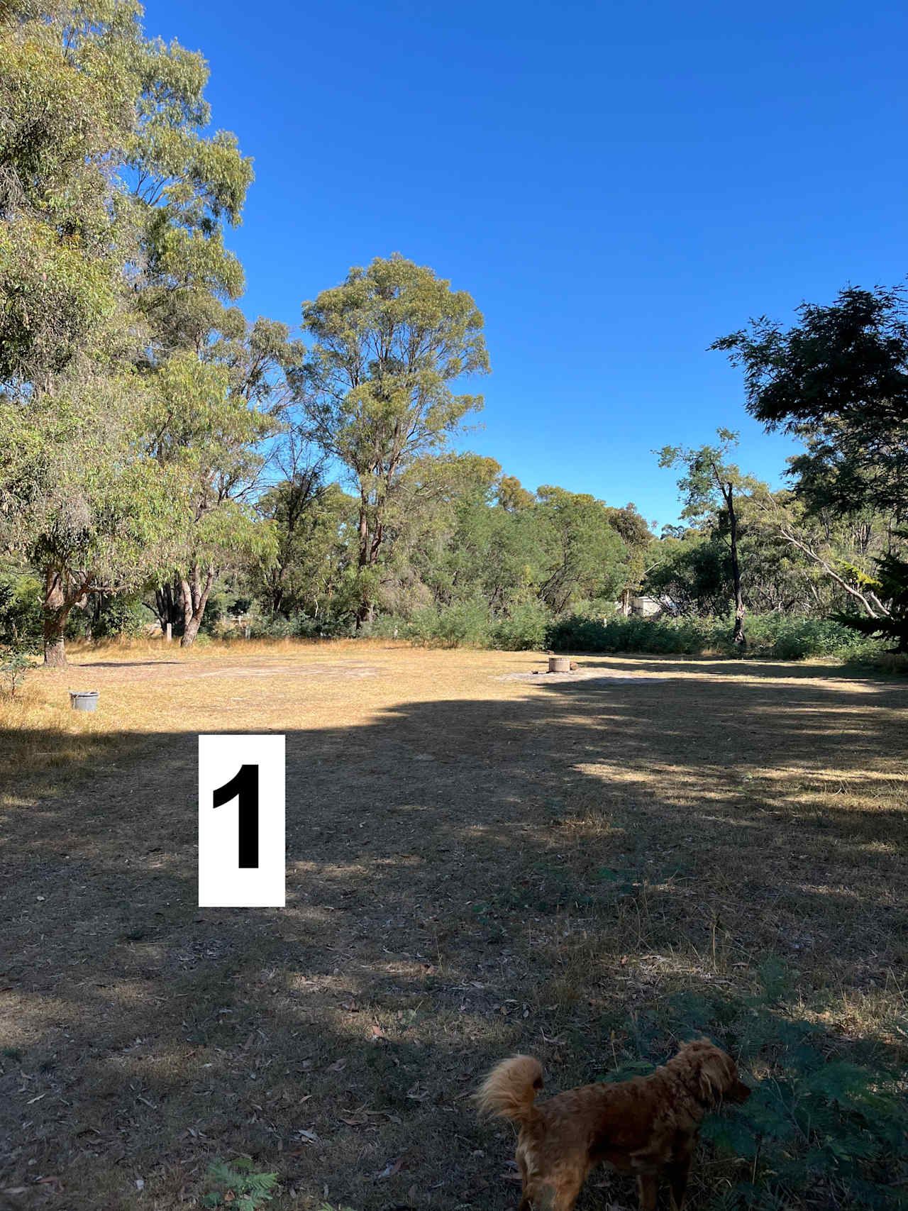 Kyneton Quiet Camp Out