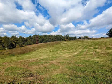 Muddy Creek Campground and Farm