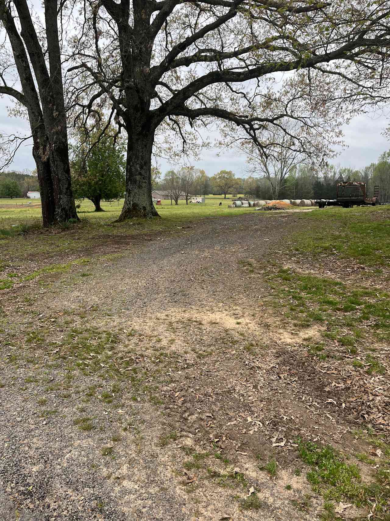 DMB Horse Farm