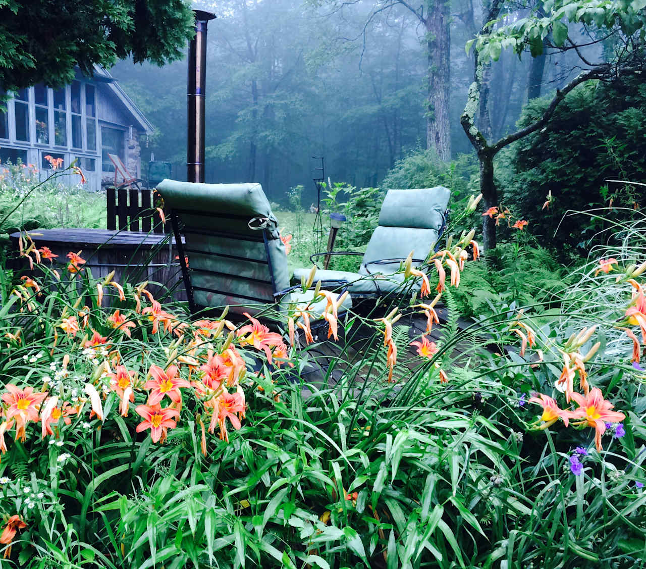 Art-Funk Forest Retreat