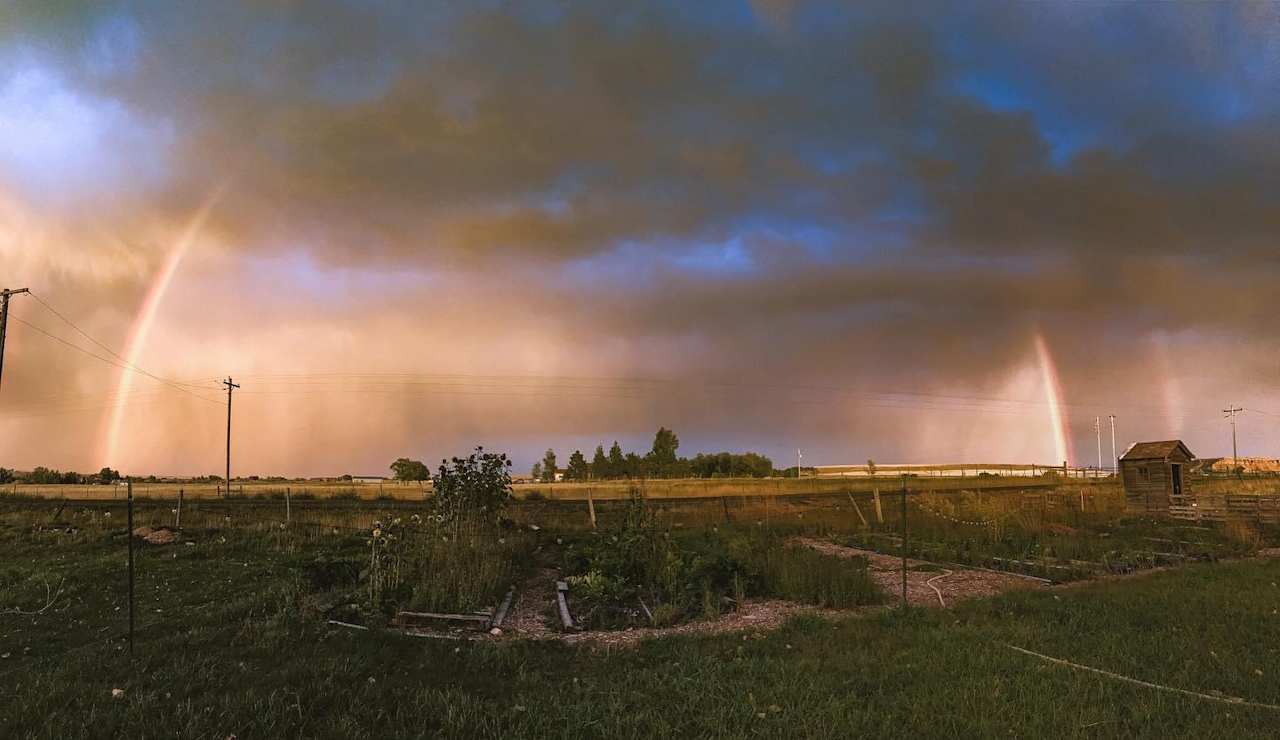 Hardda Farm Site