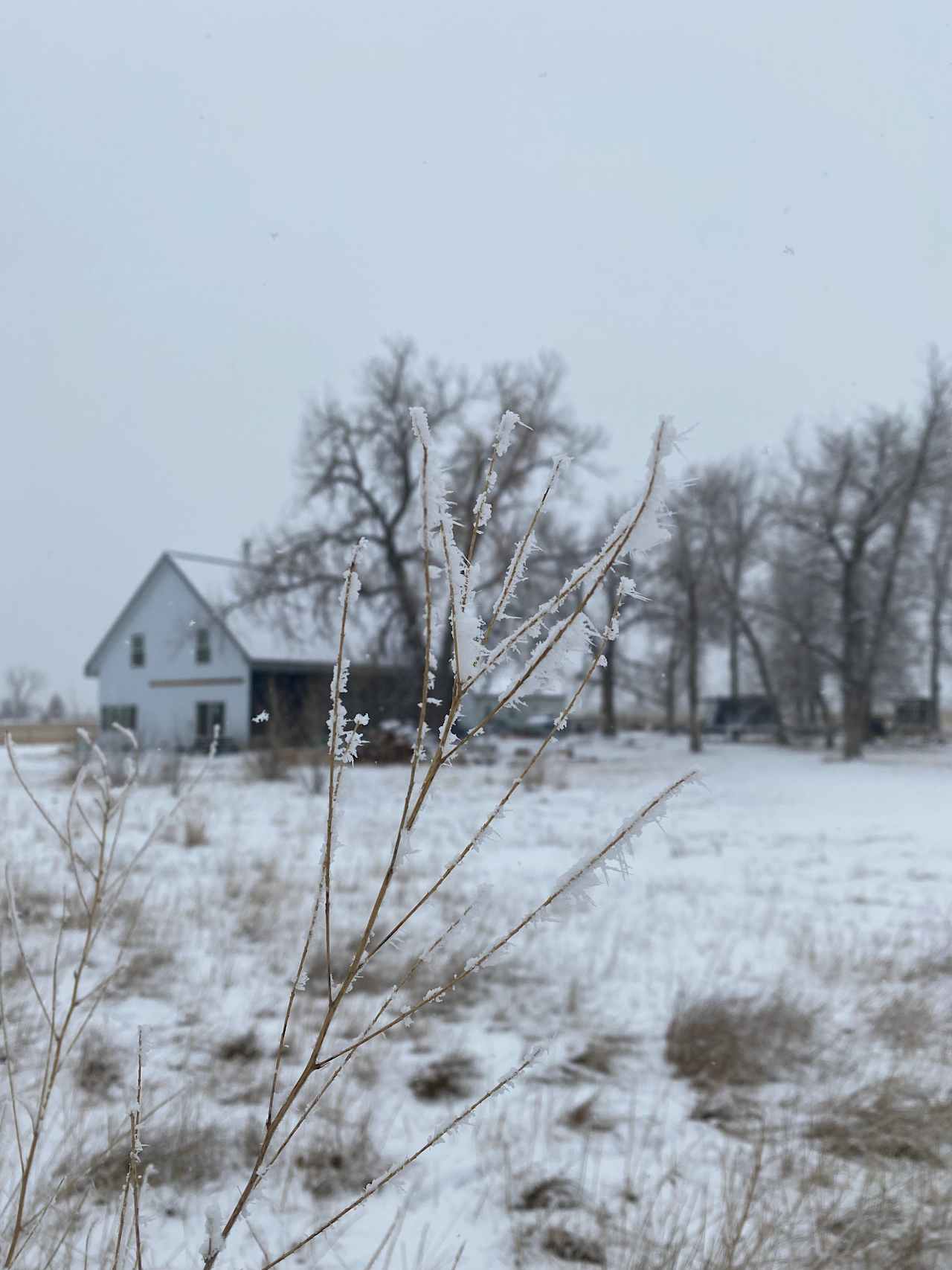 Hardda Farm Site