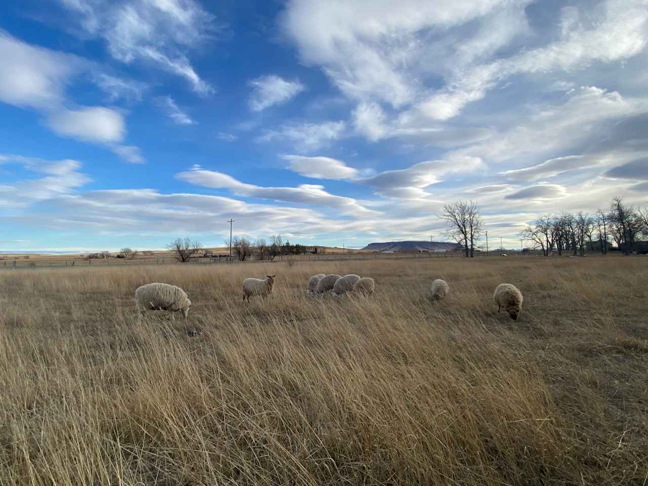 Hardda Farm Site