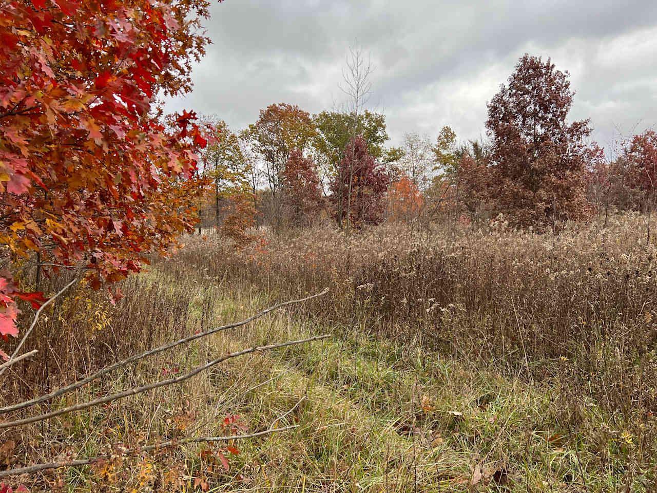 Walnut Grove Farm