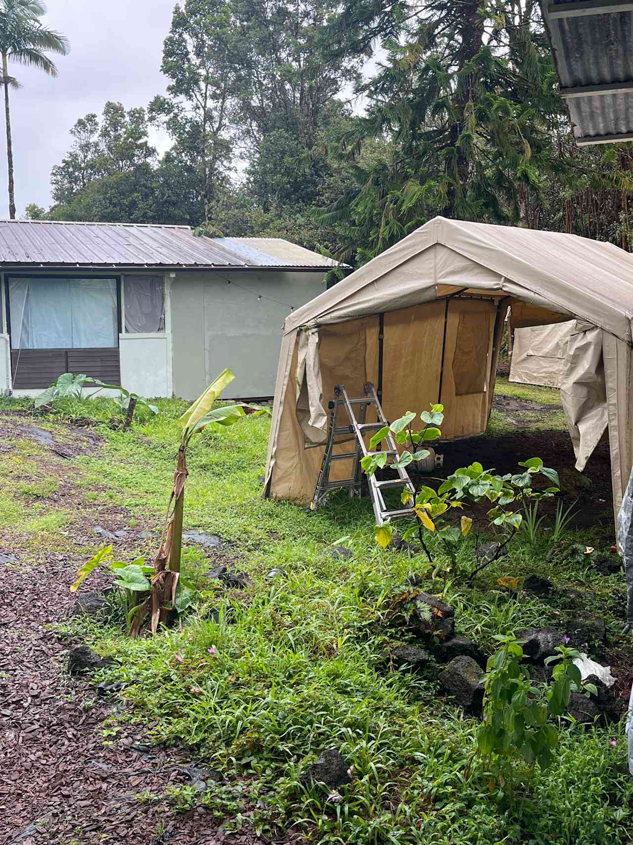 Plumeria Spa Retreat