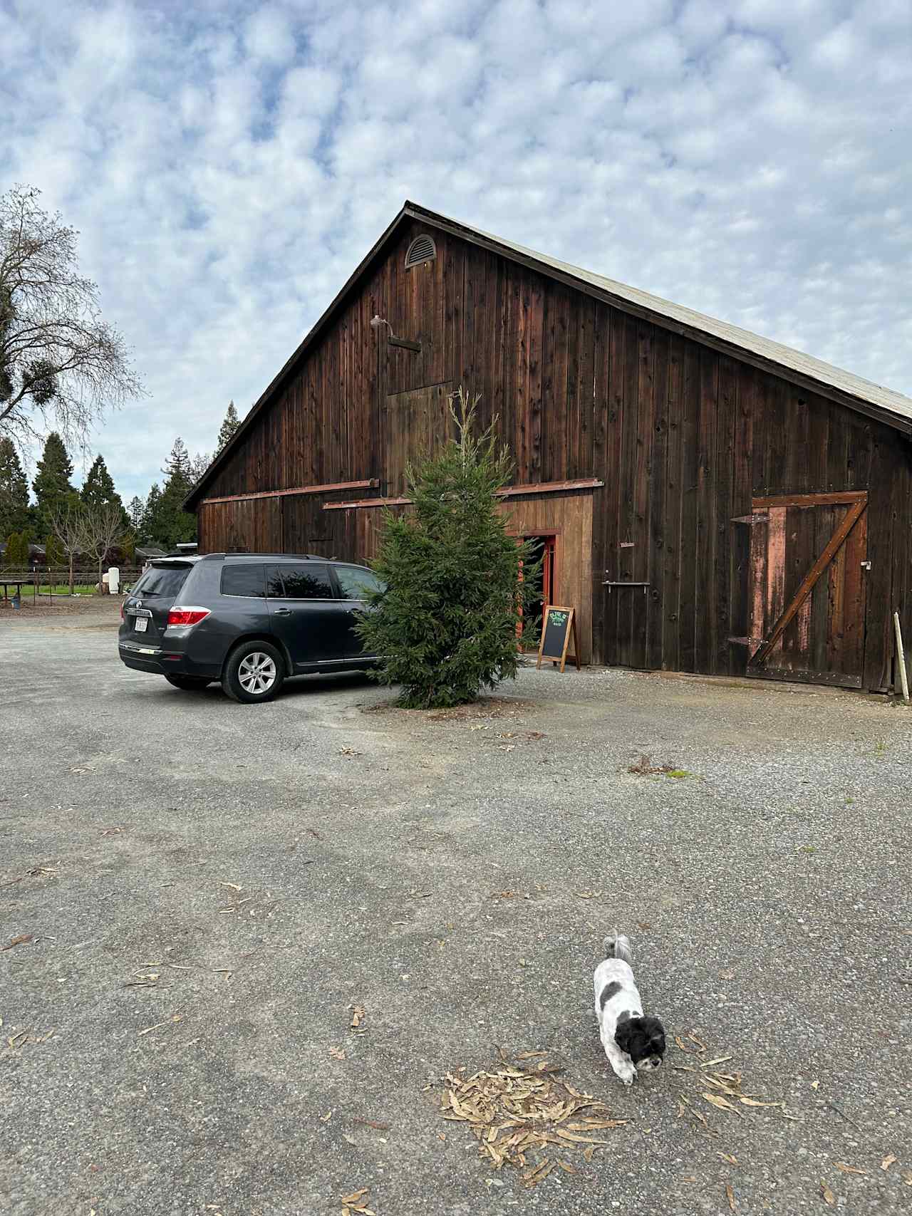 Herrick Vineyards Barn Yard