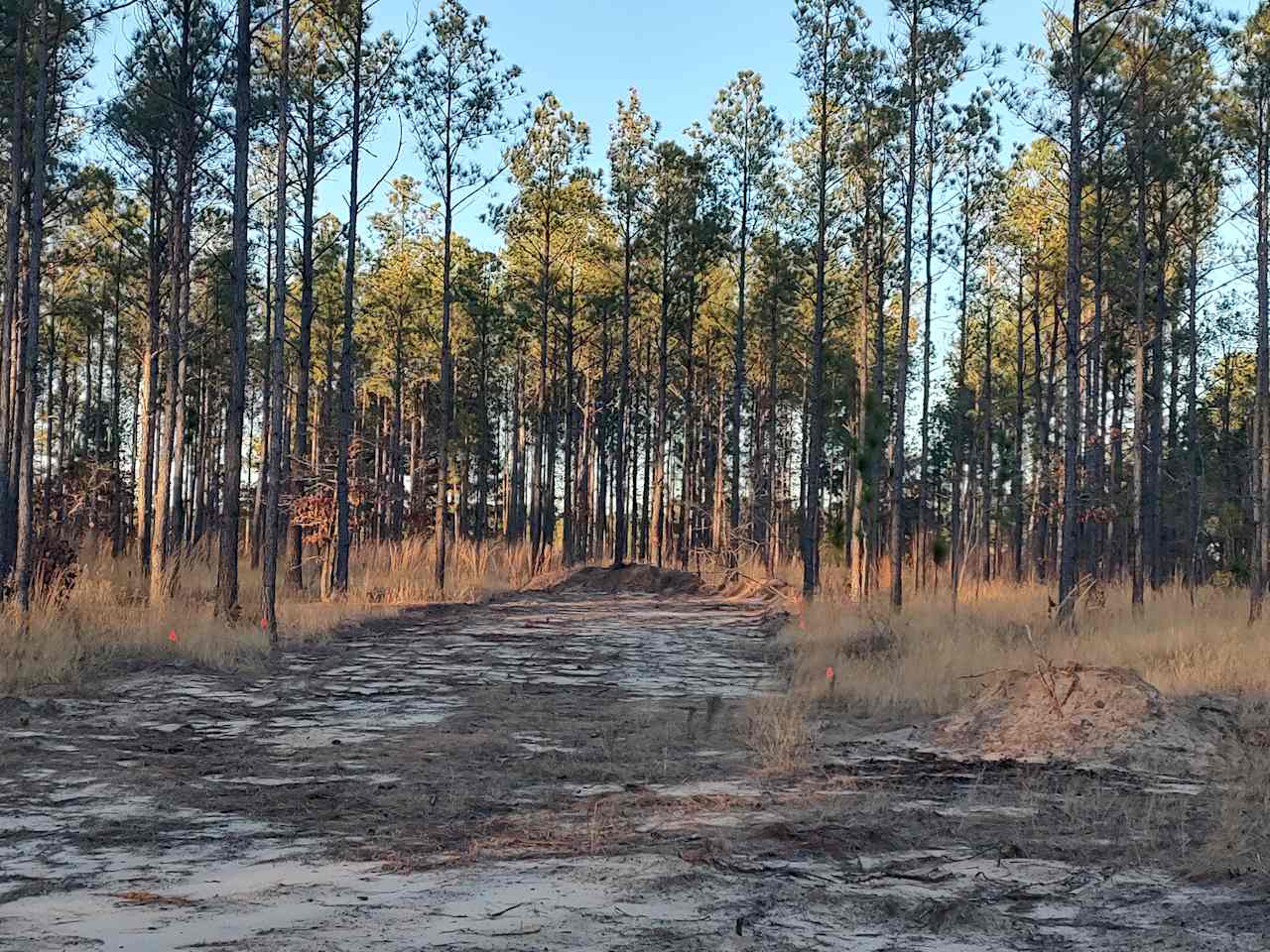 Broken Tree Ranch