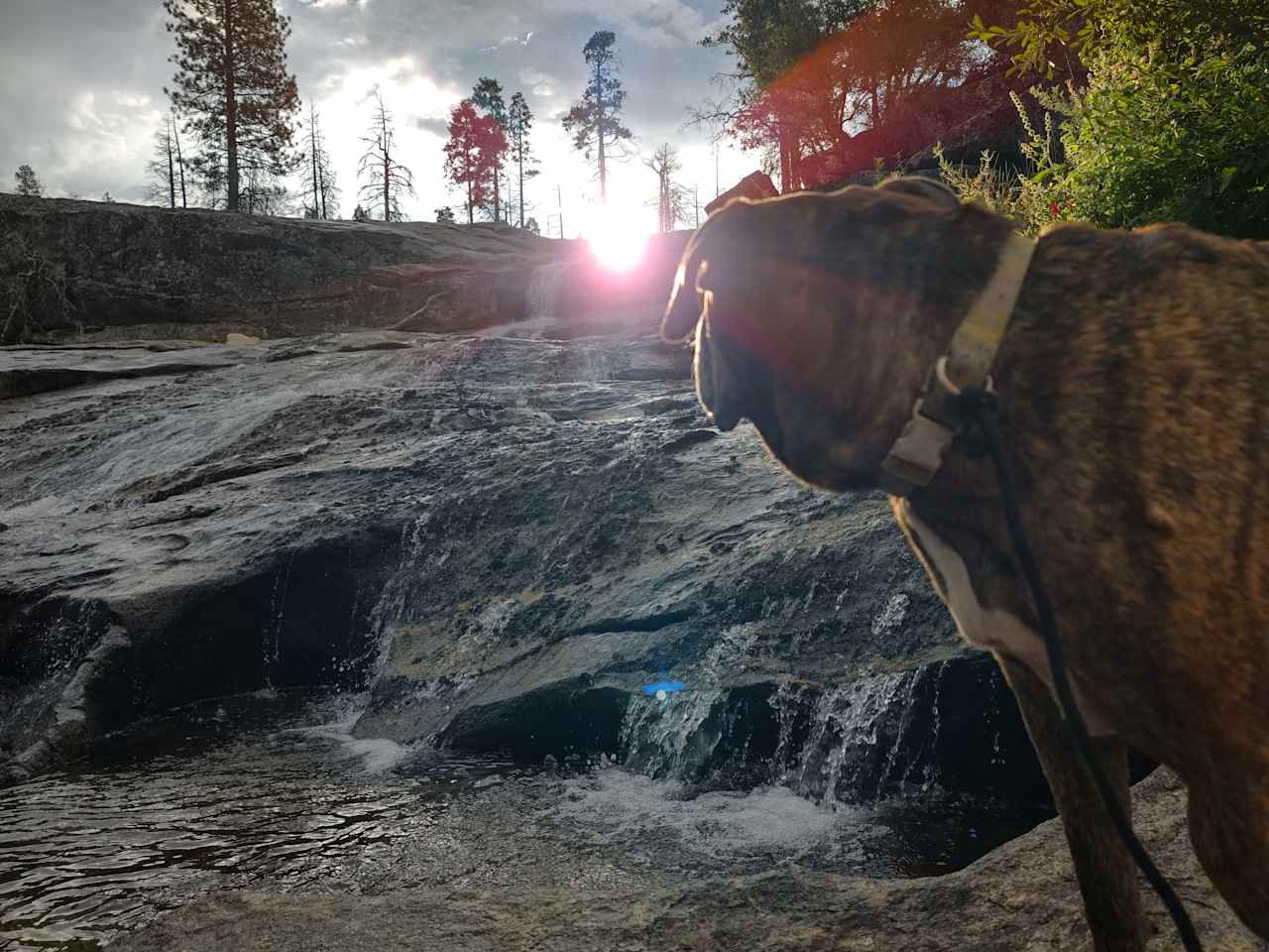 Musick Creek Falls