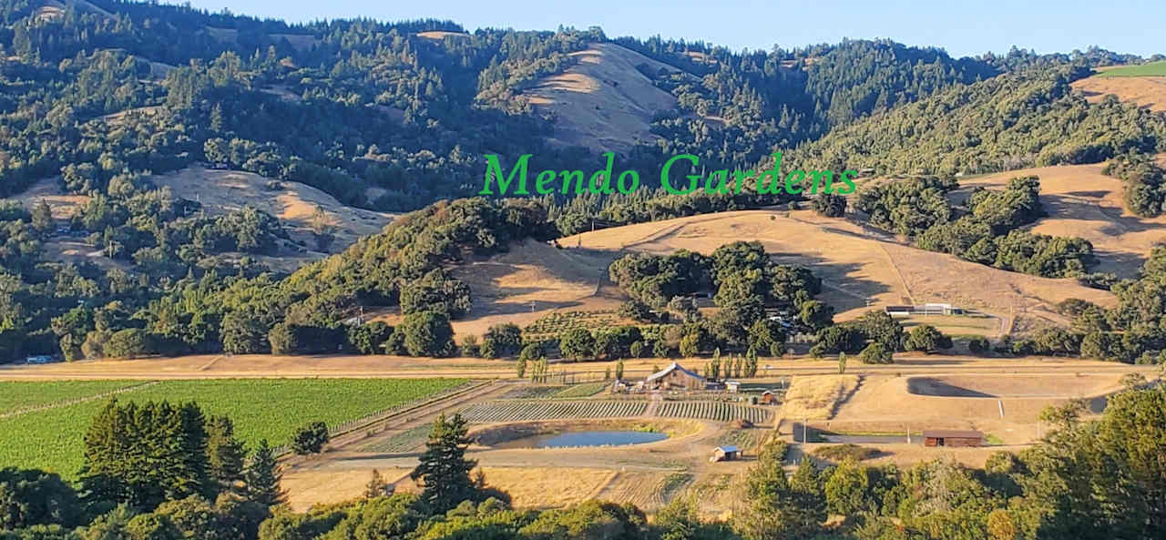 Bahler Glamping in Anderson Valley