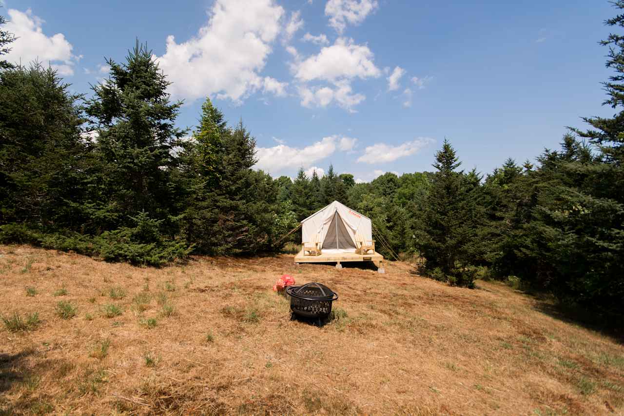 Hilltop TreeFarm by Sakonnet River