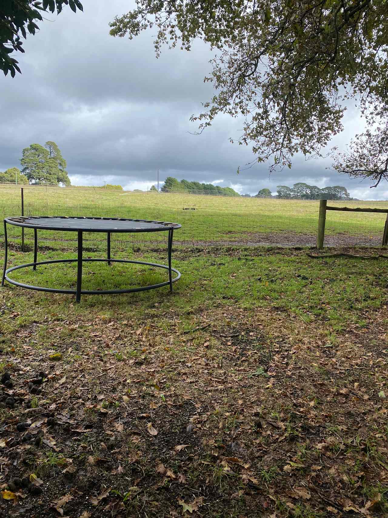 Triple R’s Rescue Farm