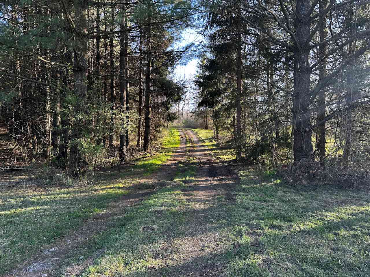 Boone Farm & Forest