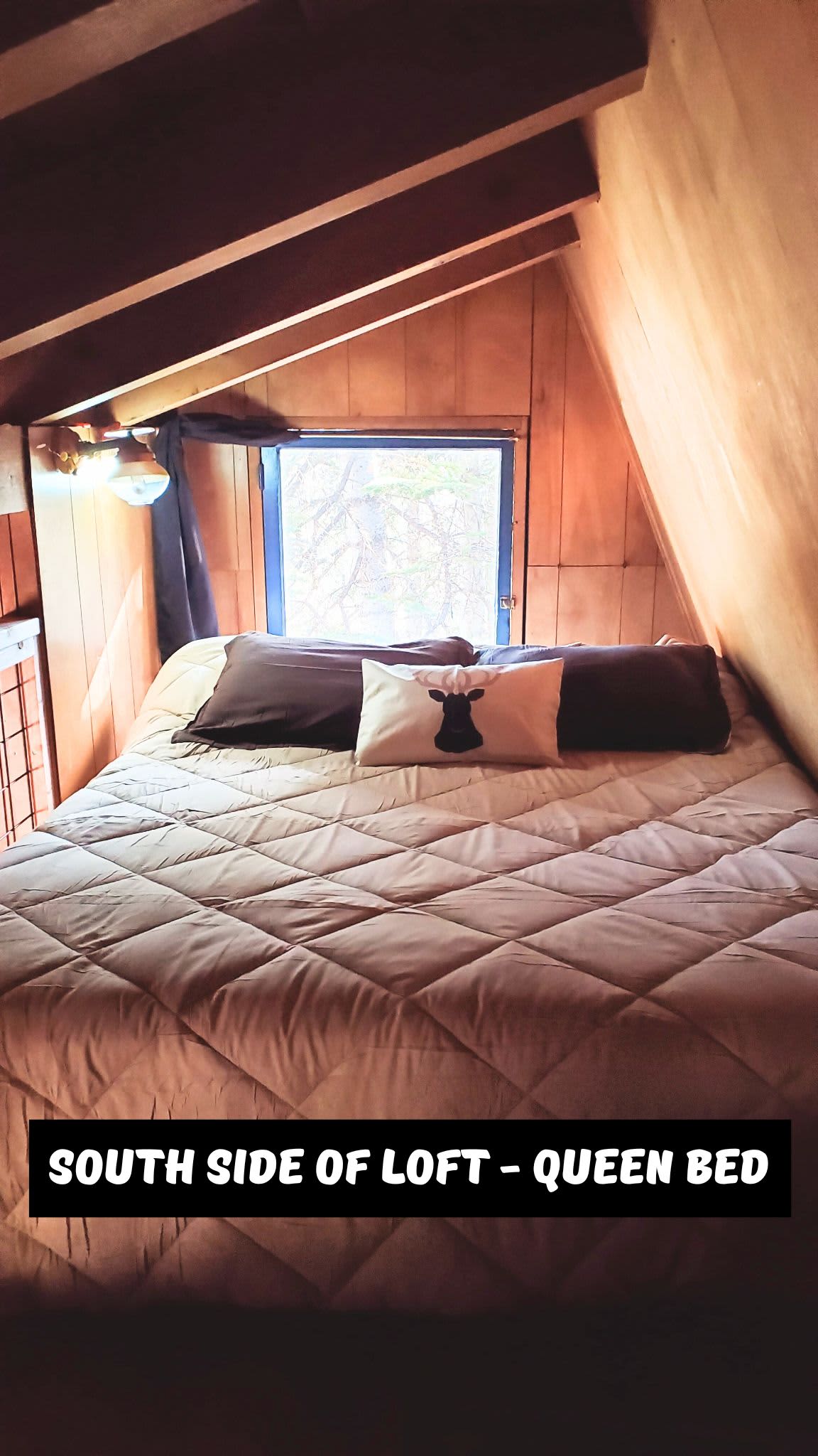 Off-Grid Cozy Mountain Heidout!