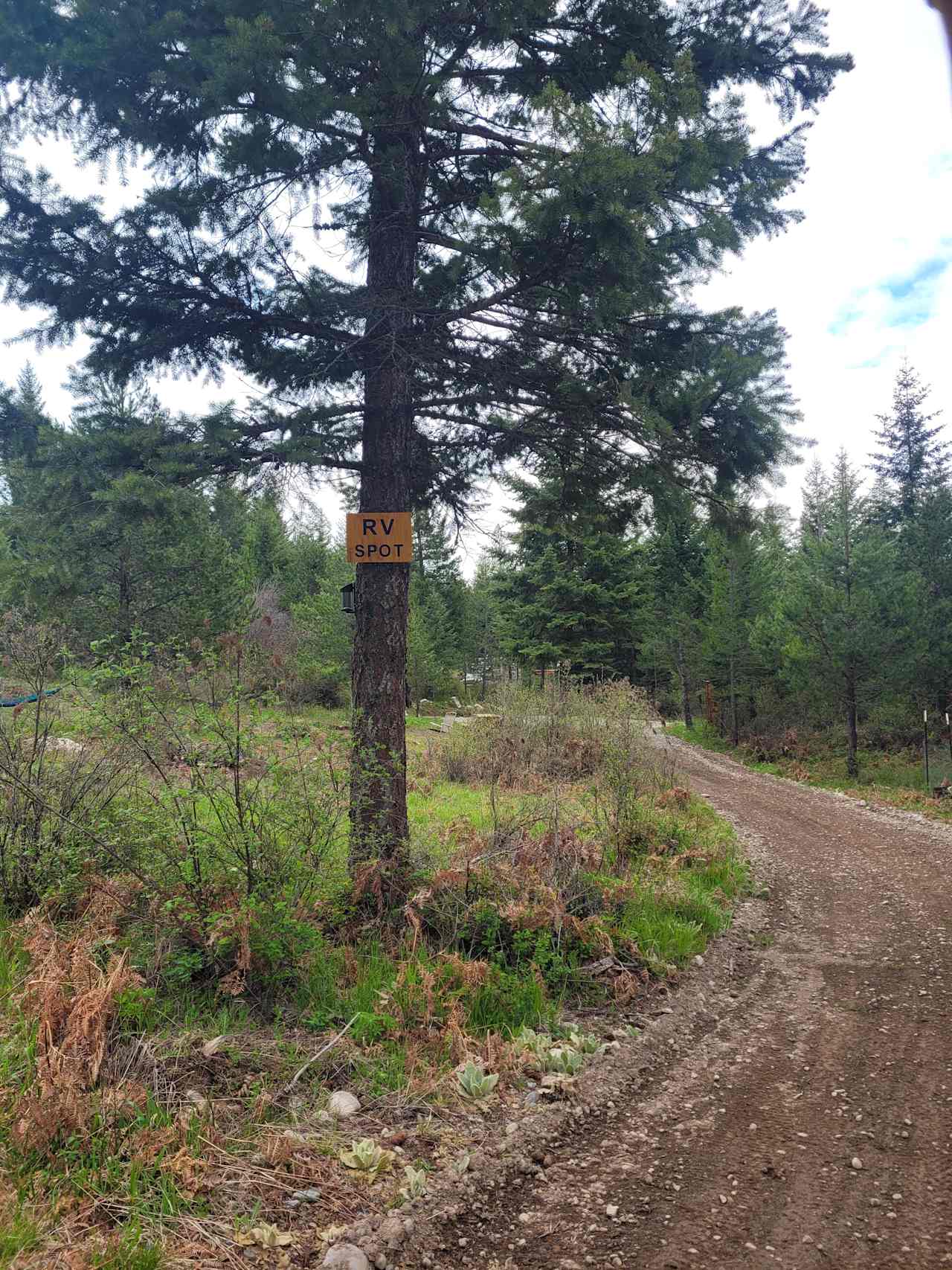 Careywood Hollow campsite.