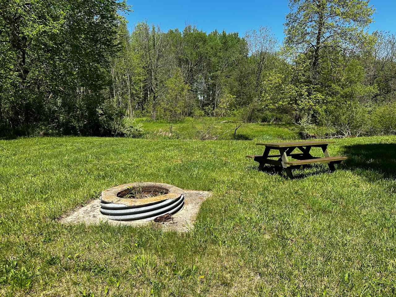 Boone Farm & Forest