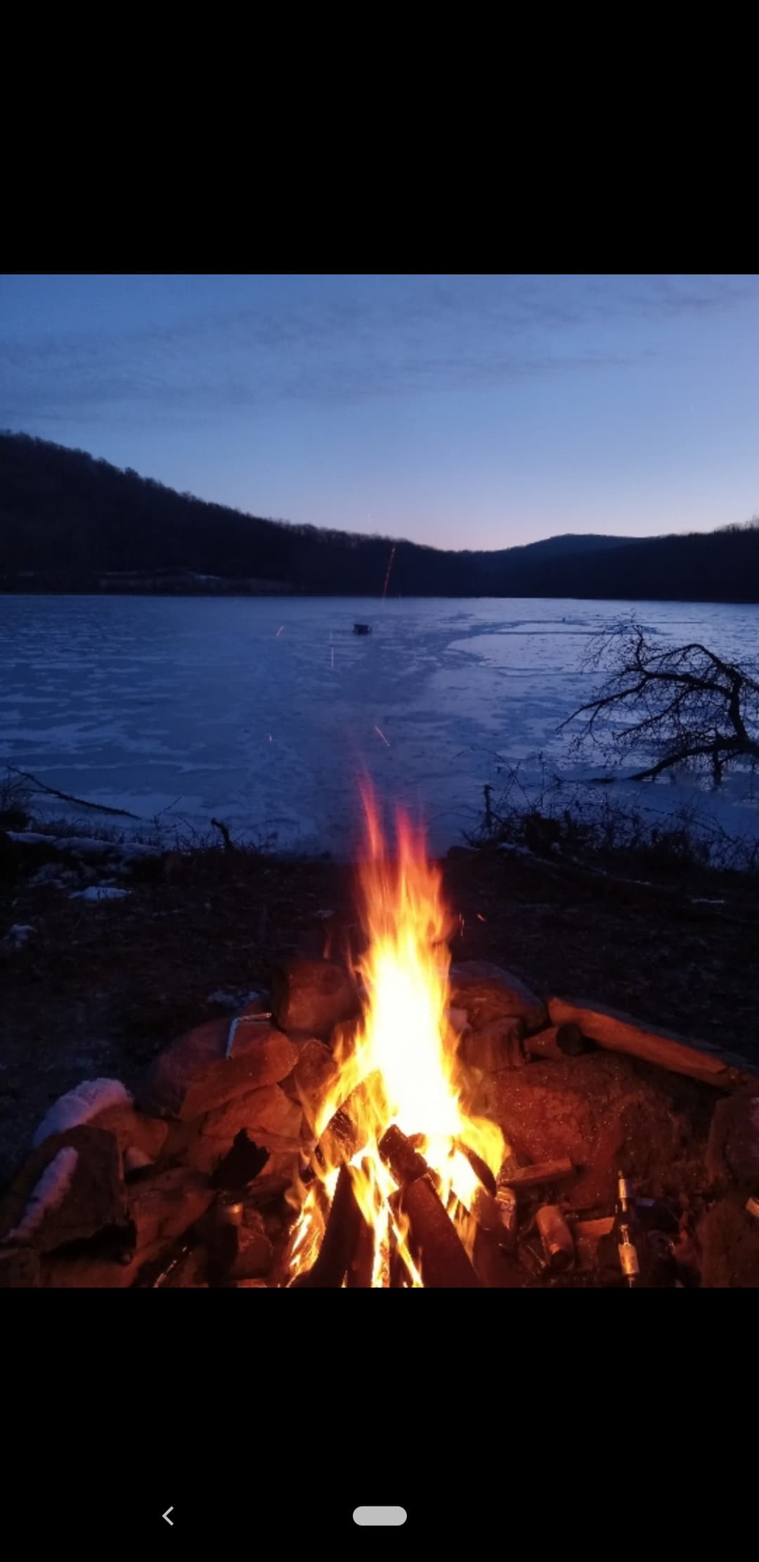 Pond Adventures