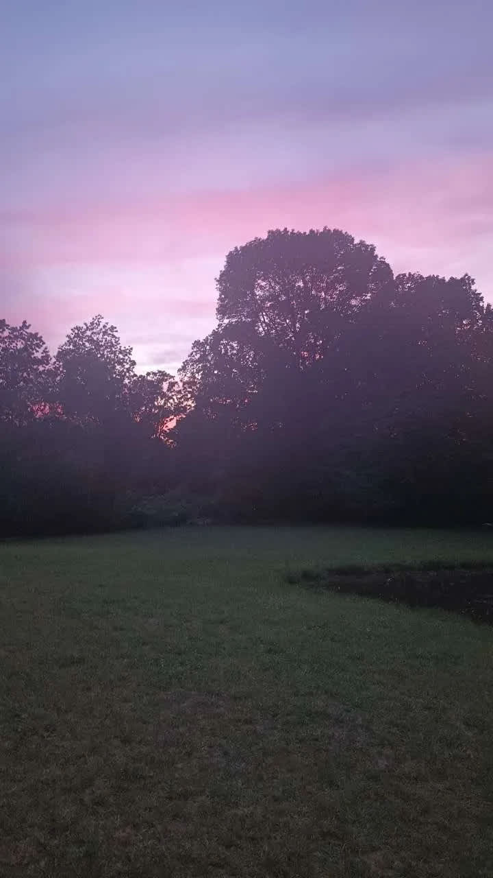 4J Farms
