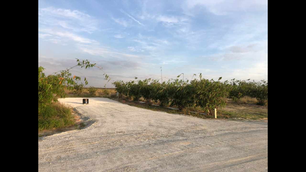 Joy Bamboo Forest Farm